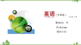 6.4 Module 6 模塊小結(jié)-外研版九年級英語上冊  同步教學(xué)課件