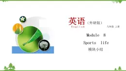 8.4 Module 8 模塊小結(jié)-外研版九年級英語上冊  同步教學(xué)課件