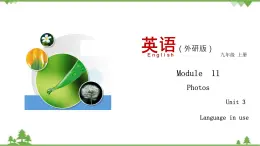 11.3 Unit 3 Language in use-外研版九年級英語上冊  同步教學(xué)課件