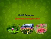 初中英语冀教版七年级下册Unit 6 SeasonsLesson 36 Spring in China图片ppt课件