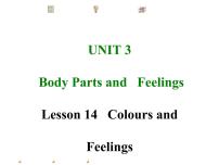 初中英语Unit 3 Body Parts and FeelingsLesson 14  Colours and Feelings说课ppt课件