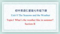 仁爱科普版七年级下册Unit 8 The seasons and the WeatherTopic 1 How is the weather in winter?评优课课件ppt