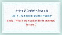 仁爱科普版七年级下册Topic 1 How is the weather in winter?获奖课件ppt