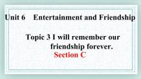 英语九年级下册Unit 6 Entertainment and Friendship.Topic 3 I will remember our friendship forever.试讲课ppt课件