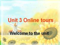 牛津译林版八年级下册Unit 3 Online toursGrammar课文内容课件ppt