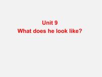 英语人教新目标 (Go for it) 版Unit 9 What does he look like?Section B教案配套课件ppt