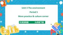 牛津版 (深圳&广州)九年级下册（2014秋审查）Unit 3 The environment完美版ppt课件
