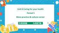 初中英语牛津版 (深圳&广州)九年级下册（2014秋审查）Unit 6 Caring for your health完美版ppt课件