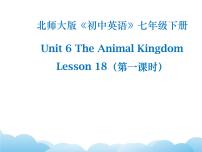 初中北师大版Lesson 18 An Animal Story优质课课件ppt