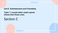 仁爱科普版九年级下册Unit 6 Entertainment and Friendship.Topic 1 I would rather watch sports shows than those o