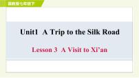 七年级下册Lesson 3  A Visit to Xi'an习题课件ppt