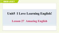英语冀教版Lesson 27 Amazing English习题ppt课件
