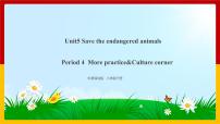 初中英语牛津版 (深圳&广州)八年级下册（2013秋审查）Unit 5 Save the endangered animals教学演示课件ppt