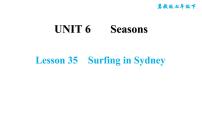 2020-2021学年Lesson 35 Surfing in Sydney习题ppt课件