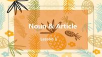 中考英语一轮复习之语法复习Lesson 1 Noun& Article 名词&冠词课件PPT