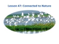 冀教版（三起）英语八年级下册 Lesson 47 Connected to Nature（课件）
