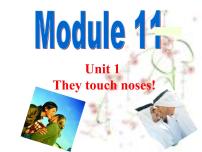 外研版 (新标准)七年级下册Unit 1 They touch noses!评课ppt课件