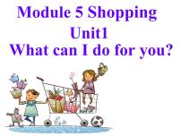 外研版 (新标准)七年级下册Module 5 Shopping综合与测试评课课件ppt