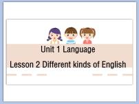 北师大版九年级全册Lesson 2 Different Kinds of Language说课ppt课件