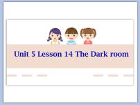 九年级全册Unit 5 LiteratureLesson 14 The Dark Room教学课件ppt
