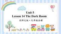 英语九年级全册Unit 5 LiteratureLesson 14 The Dark Room评课课件ppt