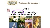 2020-2021学年Unit 2 The WWF is working hard to save them all.授课课件ppt