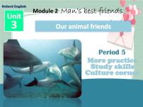牛津版 (深圳&广州)七年级下册Module2 Man’s best friendsUnit 3 Our animal friends.完整版课件ppt