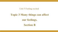 初中仁爱科普版Topic 3 Many things can affect our feelings.课文配套课件ppt