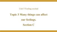 英语八年级下册Topic 3 Many things can affect our feelings.多媒体教学课件ppt