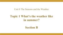 英语七年级下册Topic 1 How is the weather in winter?授课课件ppt