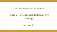英语Topic 2 The summer holidays are coming.授课ppt课件