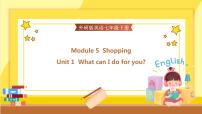 初中英语外研版 (新标准)七年级下册Module 5 ShoppingUnit 1 What can I do for you?教案配套ppt课件