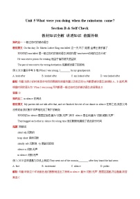 初中英語人教新目標(biāo) (Go for it) 版八年級下冊Unit 5 What were you doing when the rainstorm came?Section B學(xué)案設(shè)計