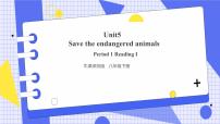 初中英语牛津版 (深圳&广州)八年级下册Unit 5 Save the endangered animals公开课ppt课件