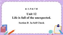 初中英语人教新目标 (Go for it) 版九年级全册Unit 12 Life is full of the unexpectedSection B优质课件ppt
