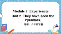 外研版 (新标准)八年级下册Unit 2  They have seen the Pyramids.精品ppt课件
