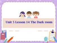 初中英语北师大版九年级全册Lesson 14 The Dark Room评优课课件ppt