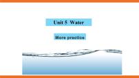 英语七年级下册Unit 5 Water评优课ppt课件