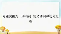 人教版中考英语复习专题突破九助动词、实义动词和动词短语教学课件