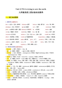 Unit 13 We're trying to save the earth.——【期末復(fù)習(xí)】九年級(jí)英語(yǔ)全一冊(cè)章節(jié)知識(shí)點(diǎn)梳理（人教版）