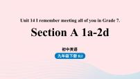 人教新目标 (Go for it) 版九年级全册Section A授课ppt课件