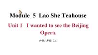 外研版 (新标准)八年级上册Unit 1 I wanted to see the Beijing Opera.授课ppt课件
