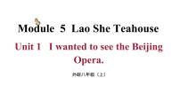 外研版 (新標(biāo)準(zhǔn))八年級(jí)上冊(cè)Unit 1 I wanted to see the Beijing Opera.授課ppt課件