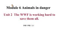 初中英语外研版 (新标准)八年级上册Unit 2 The WWF is working hard to save them all.授课课件ppt