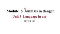 初中英语外研版 (新标准)八年级上册Unit 3 Language in use .教学课件ppt