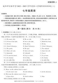 陕西省咸阳市实验中学2022-2023学年七年级下学期阶段检测（月考）（三）英语试题