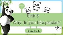 初中英语Unit 5 Why do you like pandas?Section B备课课件ppt