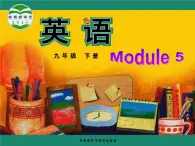 《Module 5 Unit 3 Language in use》課件 外研版英語九年級下冊
