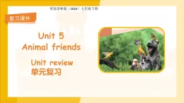 Unit 5 Animal friends 單元復(fù)習 課件 英語譯林版（2024）七年級下冊