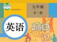 人教版九年級(jí)全冊(cè)Unit 9 I like music that I can dance to Section A  1a-2d課件